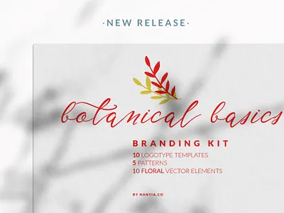 Botanical Basics Branding Kit branding kit nantiaco fonts nantiaco graphics seamless patterns typeface