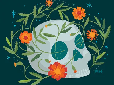 Marigold Skull calavera day of the dead dia de los muertos dia de muertos illustration marigold paula hanna poppyseed skull stars sugar skull vector