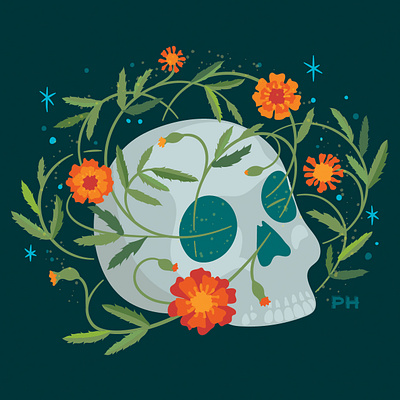 Marigold Skull calavera day of the dead dia de los muertos dia de muertos illustration marigold paula hanna poppyseed skull stars sugar skull vector