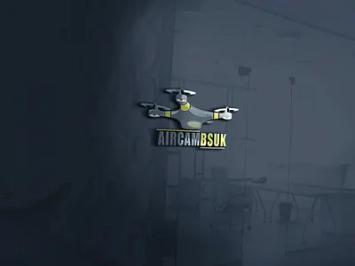 Professional logo design branding business logo design fiverr graphic design designer illustration logo logo design vector