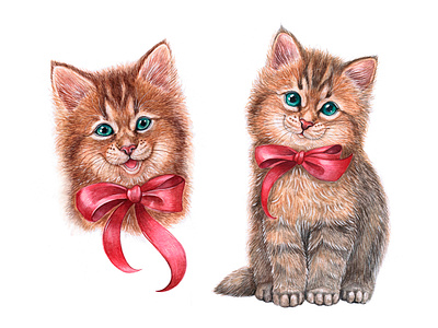 Cat animal cat cute draw fun illustration kitten kitty pet pets watercolor watercolor art