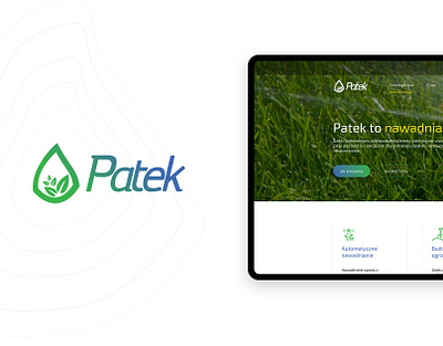 Patek - responsive website design icon poland stylo typography ui ux web website