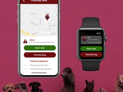 Daily UI #020 - Location Tracker app design daily ui ui ux