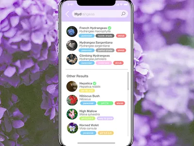 Daily UI #022 - Search Hint app design dailyui ui ux