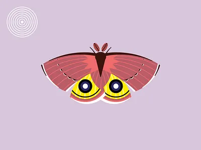 IO io moth sketch vector