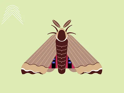 SPHINX moth sketch sphinx vector