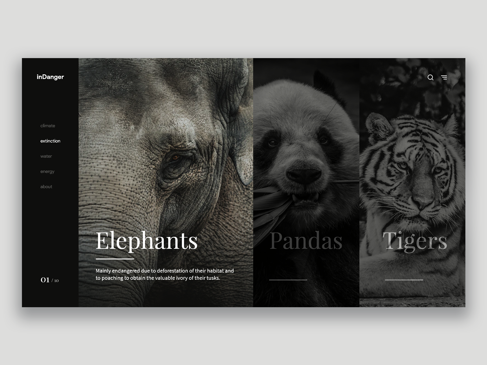 Example of Endangered Animals