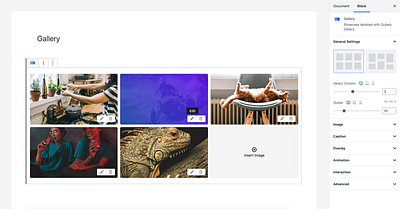 Image Gallery branding gallery gutenberg image gallery qubely ui design