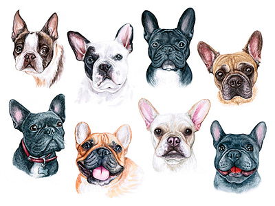 Frenchie animal childrens illustration cute dog dog illustration dogs draw french bulldog fun funny illustration pet pets puppy watercolor watercolor art
