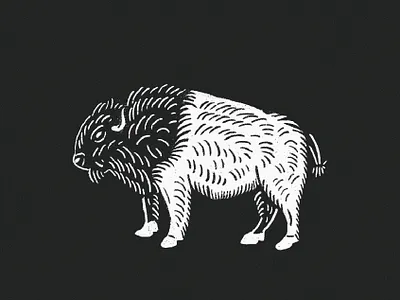 buffalo roam black and white buffalo illustration