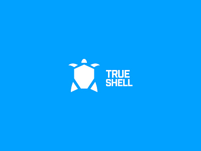 True Shell Logo Comps blue logo pool logo pools shell true true shell turtle