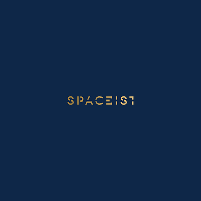 Spaceist branding clean illustration logo logodesign logotype minimal simple typography vector