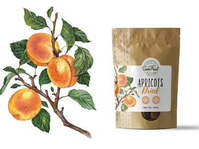 Dried fruits packaging serie - apricots apricot drawing illustration kraft organic vintage watercolor