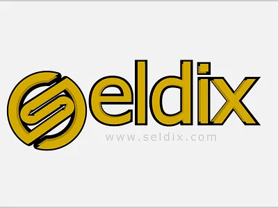 Seldix branding company design idenity illustration logo logotype typography vector