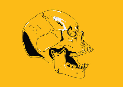 Yellow Skull Illustration death human illustration illustrator line shading skull stroke vector