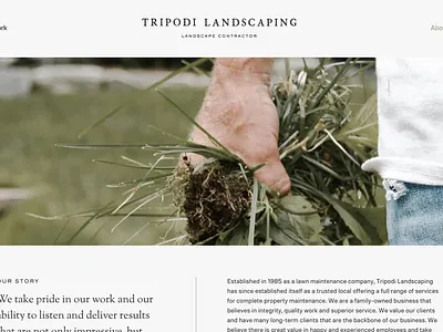 Tripodi Landscaping branding classic design graphic design landscape landscaping logo logo design outdoors photography simple design sophisticated typography ux web website design