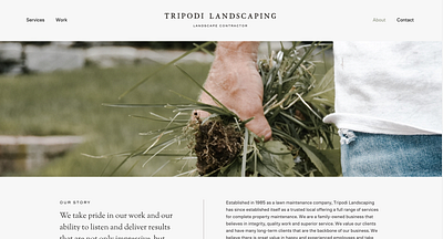 Tripodi Landscaping branding classic design graphic design landscape landscaping logo logo design outdoors photography simple design sophisticated typography ux web website design