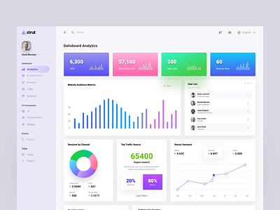 Analytics Dashboard Design admin analytics channel chart dashboard list list view page panel profit template traffic ui user ux visitor web