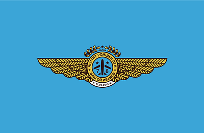 Pilot badge birthday card badge birthday card design flat icon illustration medal patch pilot pilot badge pilot medal vector