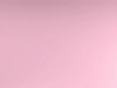 BEAUTY BOX aftereffects design motiongraphics