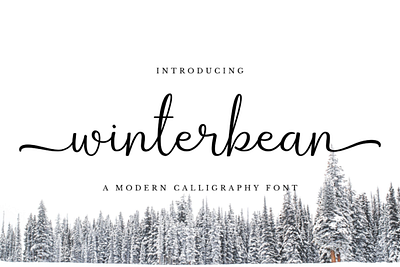 Winterbean Font Script design illustration illustrator lettering logo minimal type typography vector website