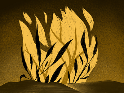 Wild botanical branch burn burning drawing fire flame illustration illustrative inktober inktober2019 leaf leaves procreate texture tree wild wildfire