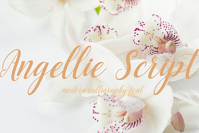 Angellie Modern feminine font Free font freebies freefont typogaphy