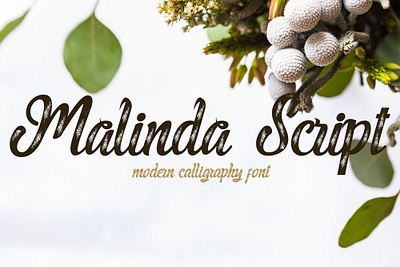 Malinda Modern calligraphy Font Free font freebies freefont typogaphy