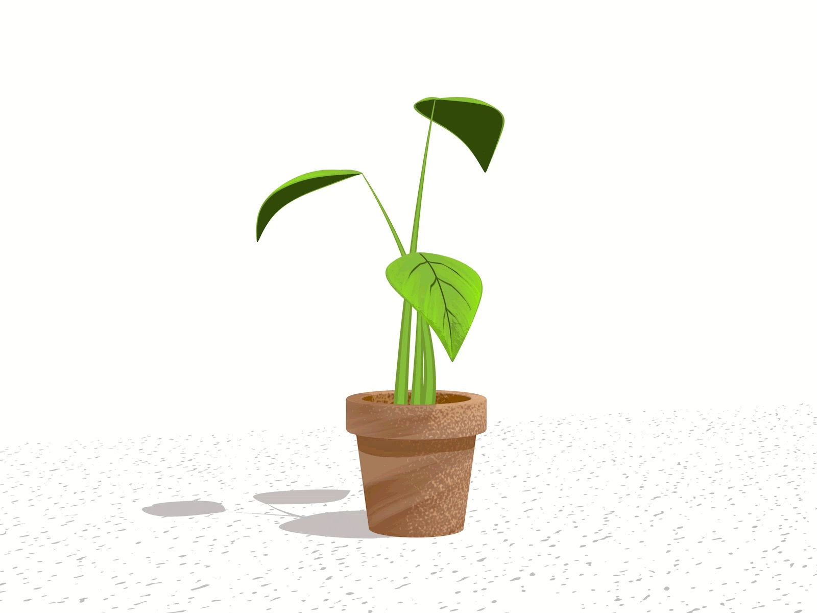 monstera 2d 3d 3d animation animation illustration motion