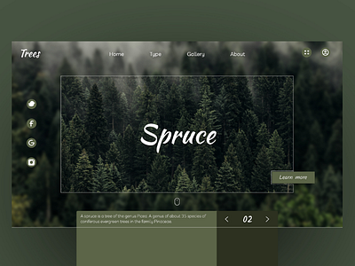 Tree species ui ux web adobe