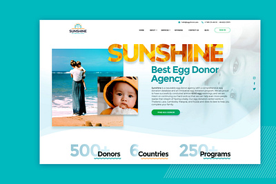 Website for Egg Donor Agency app design ui ux web website