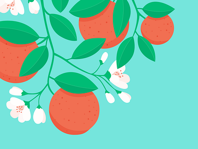 Orange blossom - blossom branch bright colour fruit green illustration illustrator leaf leaves light nature orange oranges pink plant shadow sun tree vector