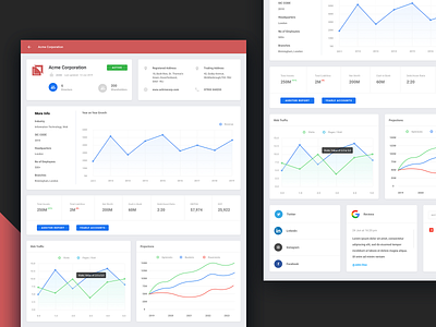 Company Stats analytics app clean dashboad design snapshot stats ui ux web application web design