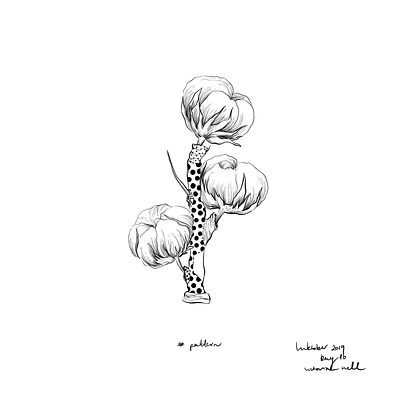 Pattern artistic black and white cotton digital drawing illustration illustration art inktober inktober2019 ipadpro painting pattern plant