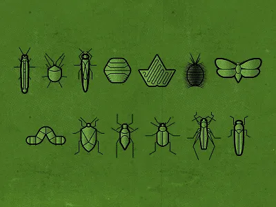BUGS bugs grasshopper halftone icons insects moth texture thicklines worm