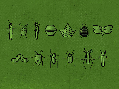 BUGS bugs grasshopper halftone icons insects moth texture thicklines worm