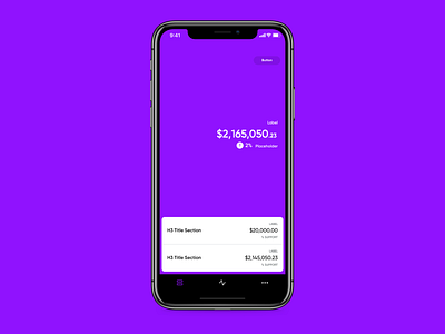 Overall design fintech iphone x ui