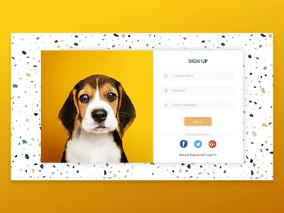 Pet Store Sign Up clean ui colorful design ecommerce app ecommerce design light theme modern design onboarding pets puppy web design website design
