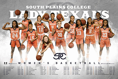 SPC Women's Basketball Team Poster basketball grunge hdr photo poster smoke sport team texture