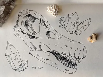 Titanosaur skull art dinosaur drawing inktober2019 pen