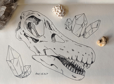Titanosaur skull art dinosaur drawing inktober2019 pen