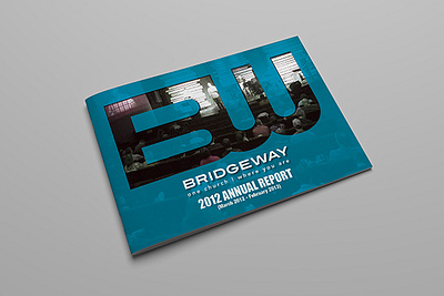 Aunual Report annual report brand guidelines brand identity branding brochure layout graphic design layout design