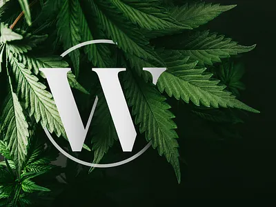 Cannabis logo cannabis logo logodesign photoshop typogaphy weed weed logo