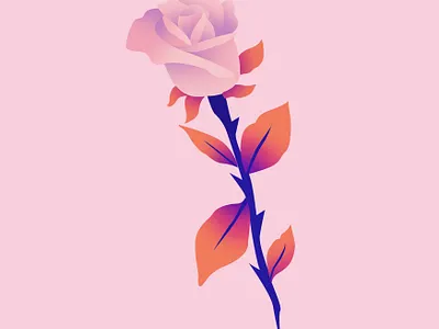 Rose autumn botanical botanical illustration floral flower flowers graphic illustration kawaii minimal plant plants rose