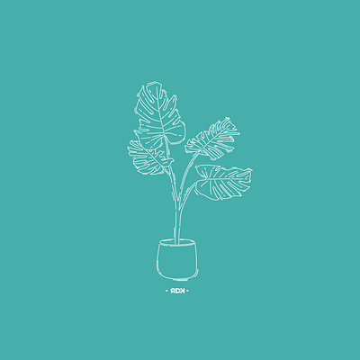 Monstera Deliciosa branding deliciosa design flat green icon illustration illustrator line lineart minimal monstera monsteradeliciosa tree vector