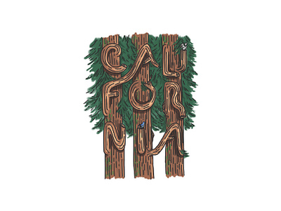 California Redwoods art illustration ipad redwoods