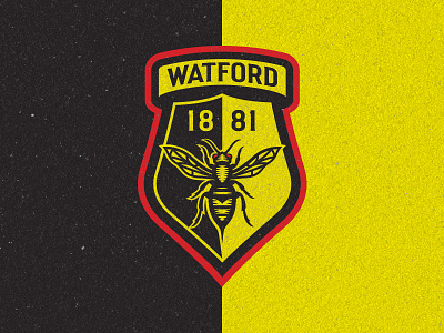 Watford FC Rebrand Competition — Finalist crest england football hornet premier league soccer