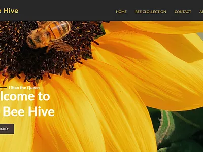 BEE HIVE honey interface photoshop uidesign uxdesign website design yellow