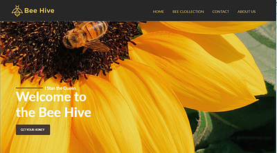 BEE HIVE honey interface photoshop uidesign uxdesign website design yellow