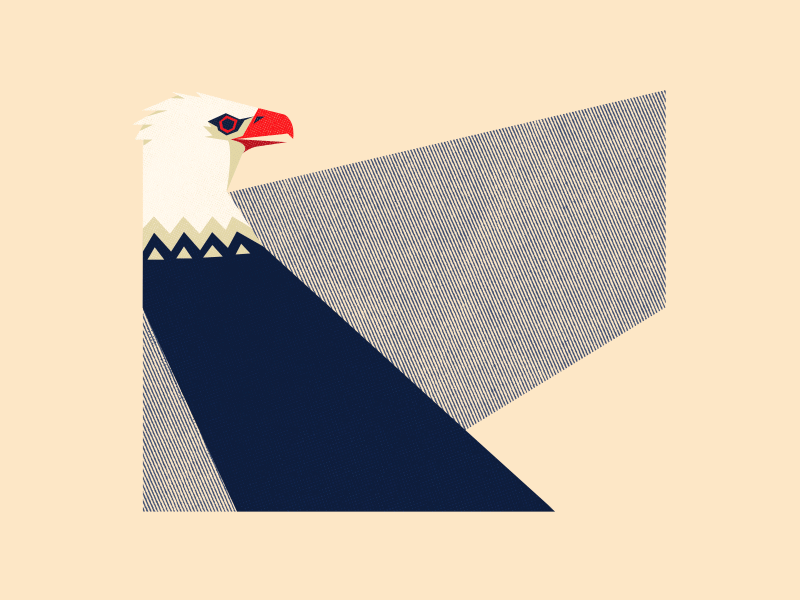 Go Vote 2danimation america animal illustration animalart animated gif animation bald eagle ballot democracy design digital digitalart eagle election graphicdesign motion usa vote voting